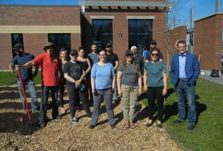 Russell Library starts community garden