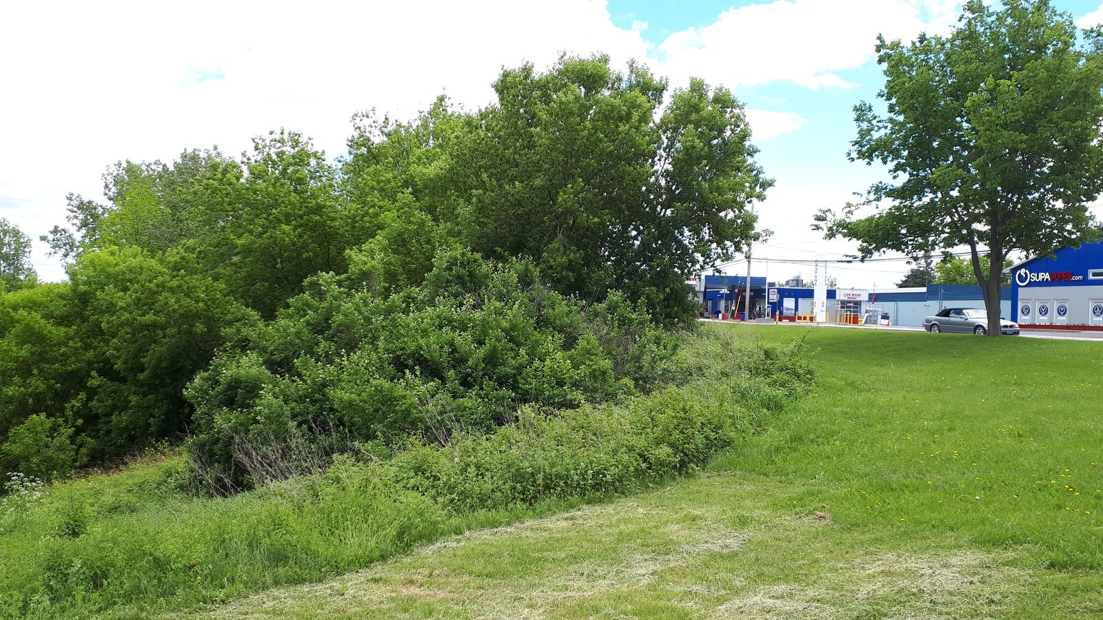 Une opération de nettoyage des berges de la Côte de l’Abattoir le 12 juin