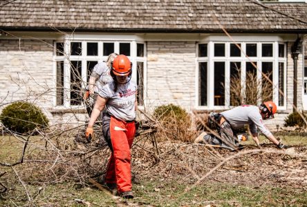 Team Rubicon offers storm clean-up help