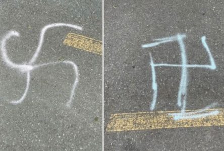 Swastikas spray-painted on New York Trail