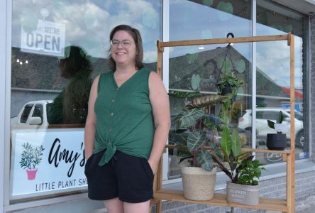 Local business helping local businesses