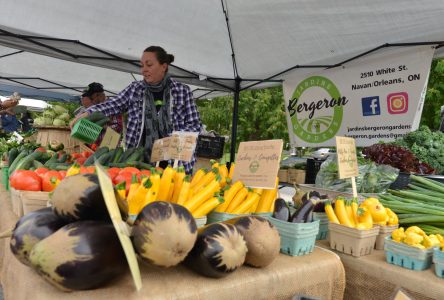 Last Clarence-Rockland Market a Hit