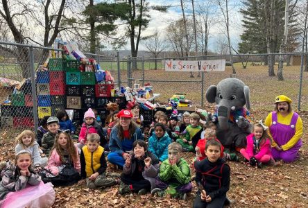 A Bridge of Food for the Rockland Food Bank