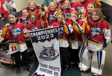 Falcons fly off with ringette gold