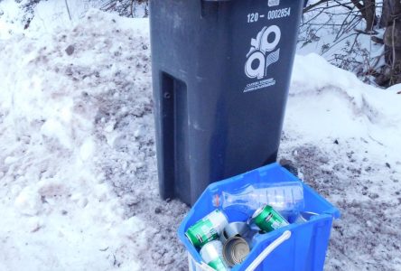 AP council concerns on new recycling plan