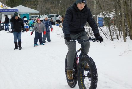 Exploration des bois lors de la Journée de la famille