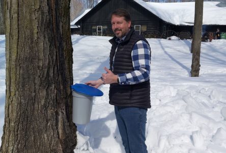 Celebrating the first tapping of maple syrup season