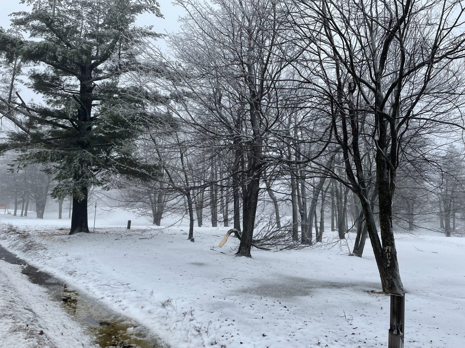 Tempête d’avril