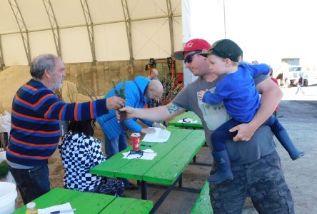 Tree giveaway grows in popularity