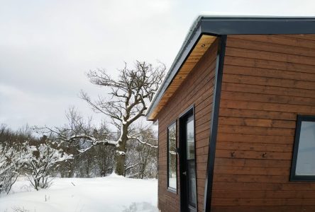 Les CUPR envisage de construire des cabanes dans la forêt Larose