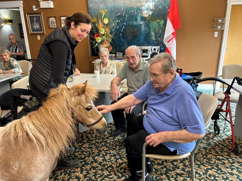 Une grande visite pour un cheval miniature