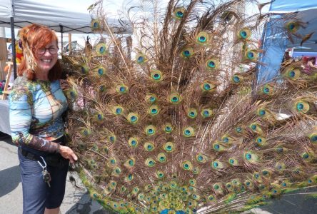 Une native de Vankleek Hill cueille le bonheur dans les plumes