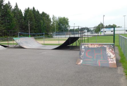 More professional look wanted for Alfred skatepark