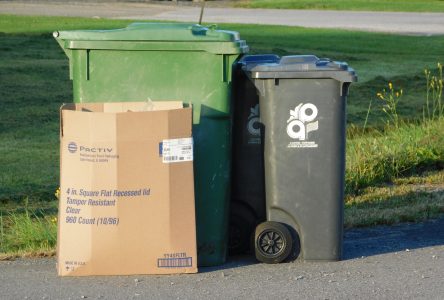 Alfred-Plantagenet garbage collection plan under review
