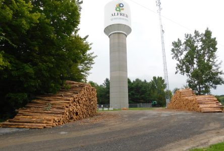 Salvage logging operations in Boisé Larocque