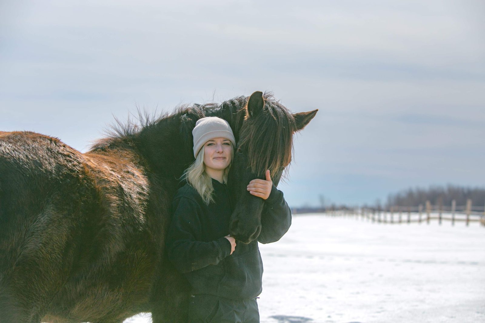 A safe home for horses in need