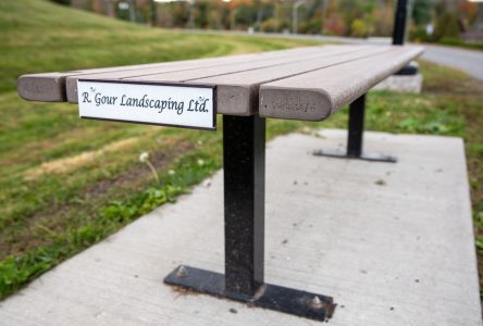 City adopts commemorative bench and tree program