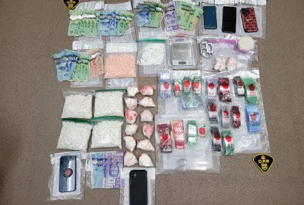 Rockland drug traffickers charged