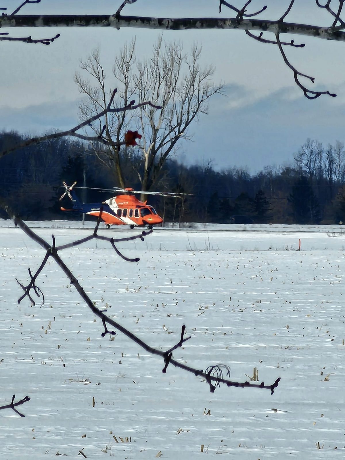 Air ambulance called for fatal tree felling accident in Embrun