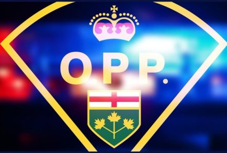 Bourget resident charged with assaulting OPP officers