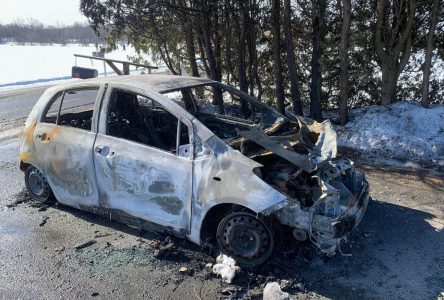 Huit voitures incendiées dans des incidents criminels présumés