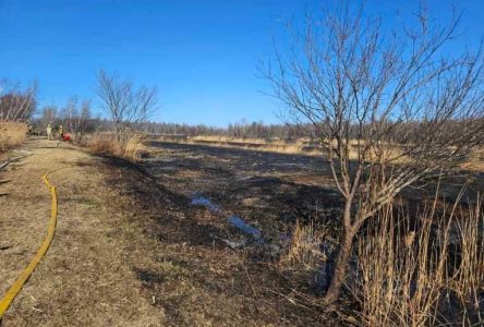 Fire bans for The Nation, Russell and C-R as brush fire kicks of the season