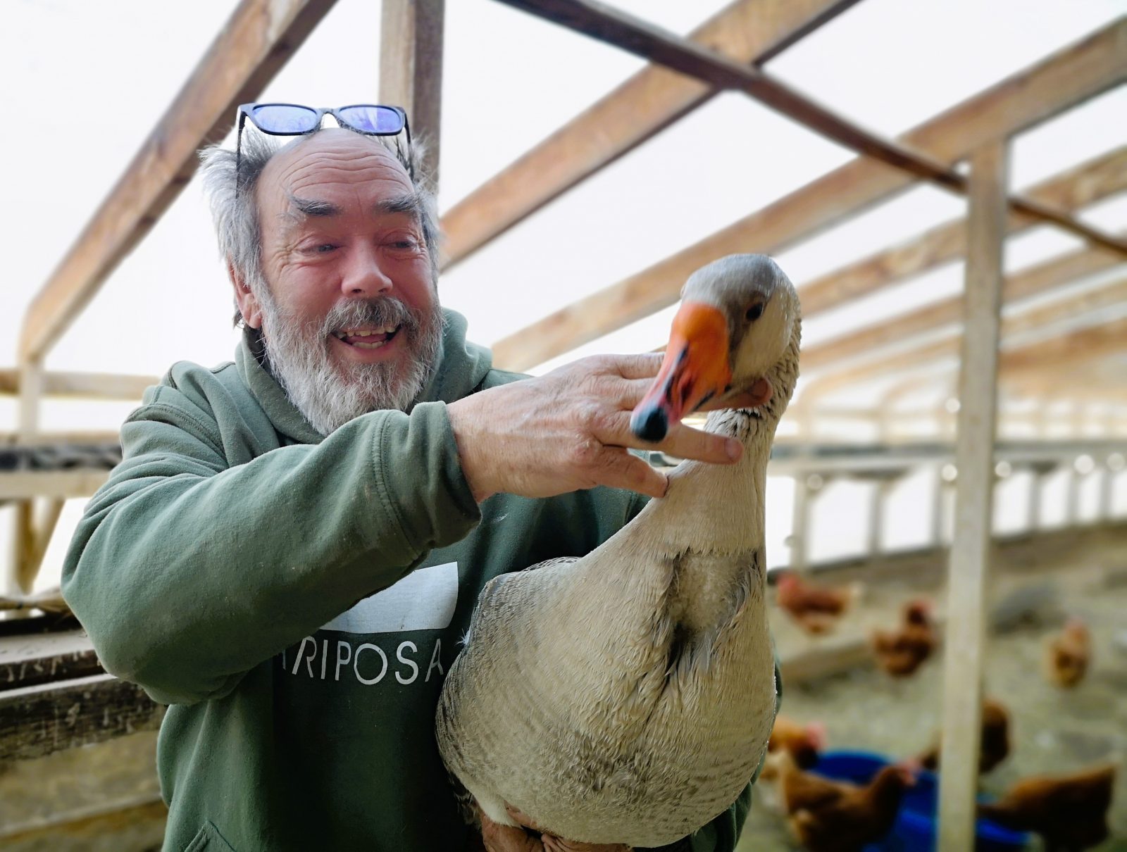 From Muscovy duck to Toulouse goose, Ottawa’s duck guy calls A-P home