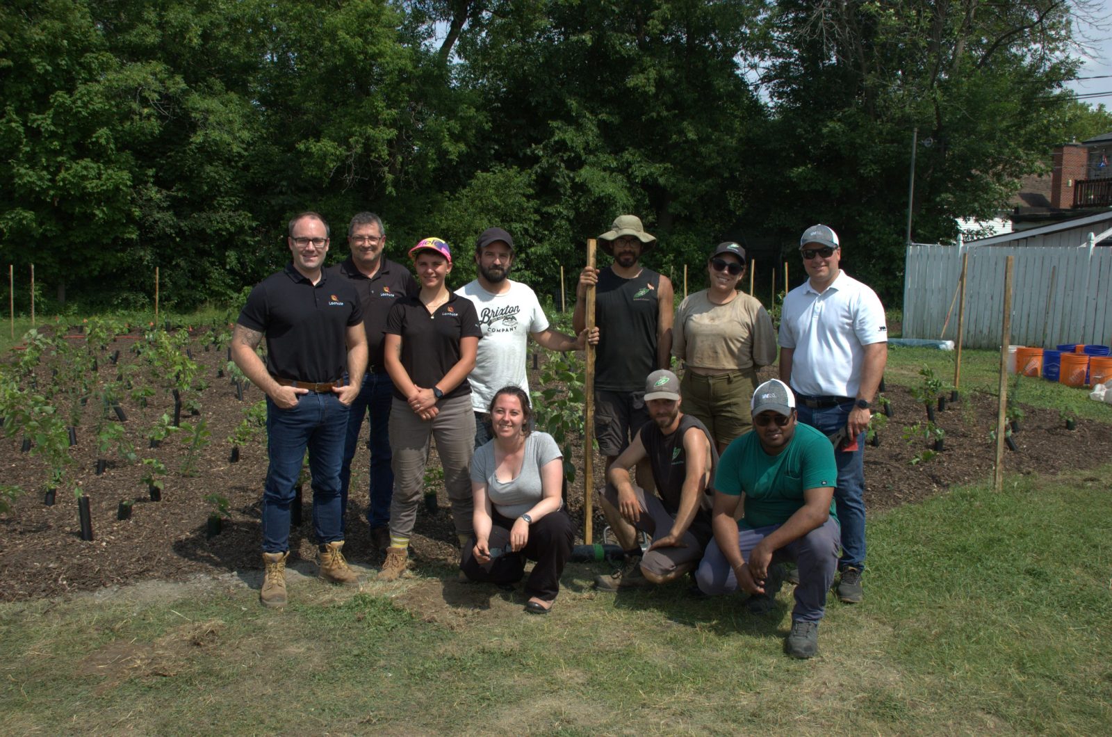 Une première micro-forêt à Lachute