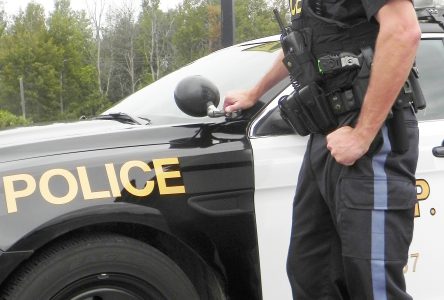 Four arrested after OPP recover stolen vehicle