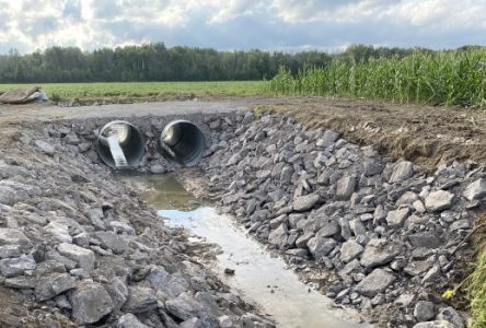 Pétition acceptée pour des travaux de drainage municipal