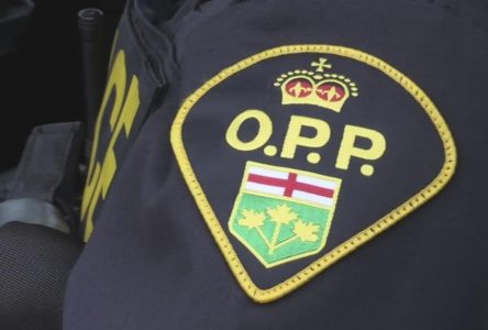 Two arrested after domestic violence call in Russell