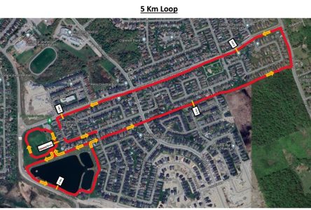 Rockland Terry Fox Run: Sept 15 at Alain Potvin Park