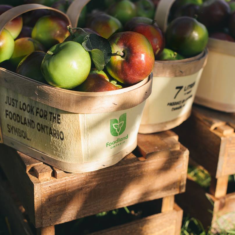 L’Ontario investit 1,5 million de dollars dans la commercialisation des fruits cultivés en Ontario