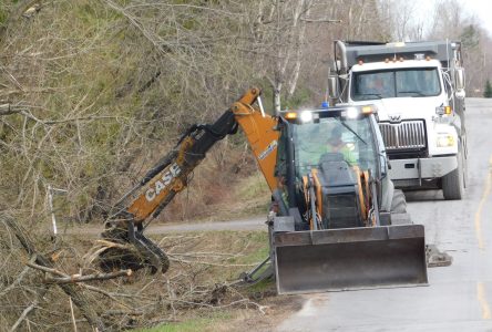 Plan de nettoyage final des dégâts causés par la tempête de 2022