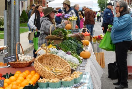 Another delicious Festival of Flavours