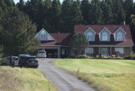 One person arrested after police respond to firearms call in Clarence Creek