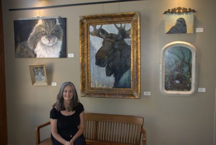 L’art animalier en vedette dans une exposition à Grenville-sur-la-Rouge