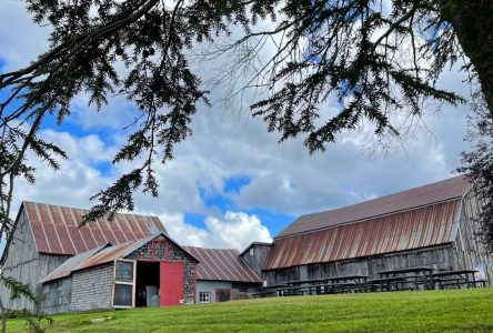 Les Vergers Villeneuve et la Blueberry Farm organisent un marché éphémère ce week-end