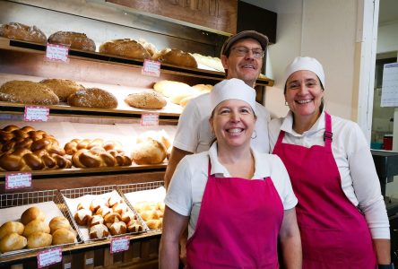 The Holiday success of Heidi and WIlly’s Bakery